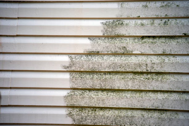 Best Mattress Disposal  in Clifton Gardens, NY